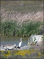 Bike-AlamedaCreekTrail09-241b.jpg