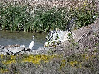 Bike-AlamedaCreekTrail09-242b.jpg