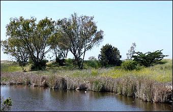 Bike-AlamedaCreekTrail09-250c.jpg