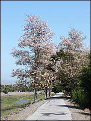 Bike-AlamedaCreekTrail09-266b.jpg