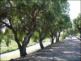 Bike-AlamedaCreekTrail09-279b.jpg