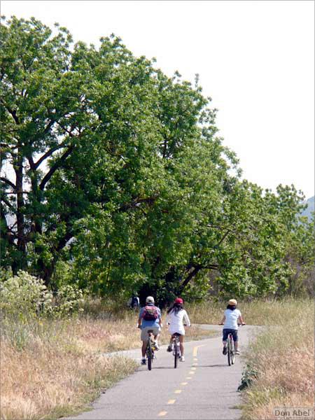 Bike-CoyoteCreekTrail08-169c.jpg - for personal use