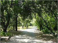 Bike-CoyoteCreekTrail08-005b.jpg