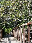 Bike-CoyoteCreekTrail08-006b.jpg