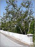 Bike-CoyoteCreekTrail08-025c.jpg