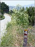 Bike-CoyoteCreekTrail08-045b.jpg