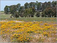 Bike-CoyoteCreekTrail08-058c.jpg