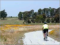 Bike-CoyoteCreekTrail08-061c.jpg