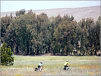 Bike-CoyoteCreekTrail08-063c.jpg