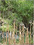 Bike-CoyoteCreekTrail08-096b.jpg