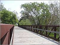 Bike-CoyoteCreekTrail08-102c.jpg