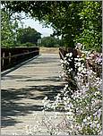 Bike-CoyoteCreekTrail08-130b.jpg