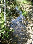 Bike-CoyoteCreekTrail08-131b.jpg