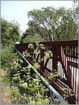 Bike-CoyoteCreekTrail08-134b.jpg