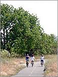 Bike-CoyoteCreekTrail08-169c.jpg