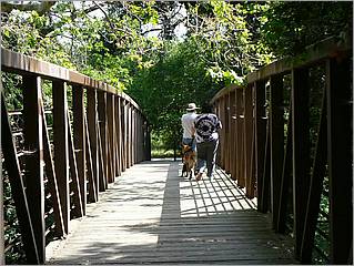 Bike-CoyoteCreekTrail08-013b.jpg