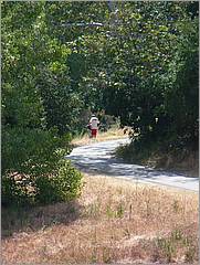 Bike-CoyoteCreekTrail08-020b.jpg