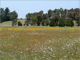 Bike-CoyoteCreekTrail08-055c.jpg