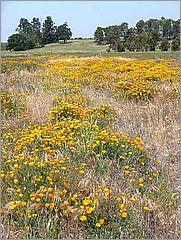 Bike-CoyoteCreekTrail08-057c.jpg