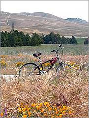 Bike-CoyoteCreekTrail08-059c.jpg