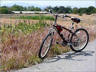 Bike-CoyoteCreekTrail08-101c.jpg