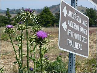 Bike-CoyoteCreekTrail08-123b.jpg