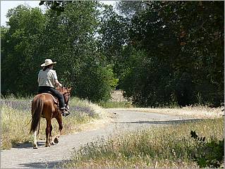 Bike-CoyoteCreekTrail08-150b.jpg