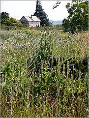 Bike-CoyoteCreekTrail08-176c.jpg