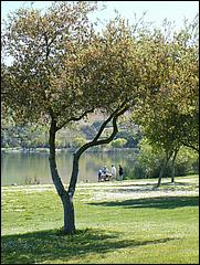 Bike-CoyoteCreekTrail09-005b.jpg