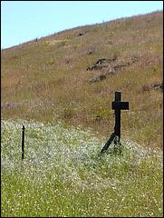 Bike-CoyoteCreekTrail09-007c.jpg