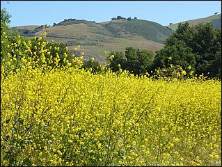 Bike-CoyoteCreekTrail09-013b.jpg