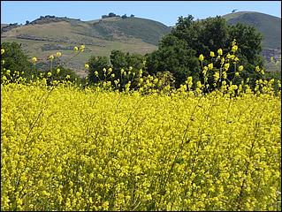 Bike-CoyoteCreekTrail09-014b.jpg