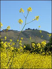 Bike-CoyoteCreekTrail09-016b.jpg