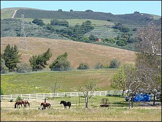 Bike-CoyoteCreekTrail09-035b.jpg