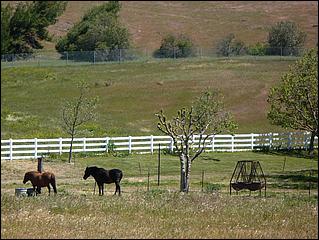 Bike-CoyoteCreekTrail09-037b.jpg