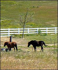 Bike-CoyoteCreekTrail09-038d.jpg