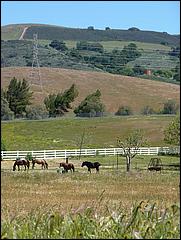 Bike-CoyoteCreekTrail09-039b.jpg