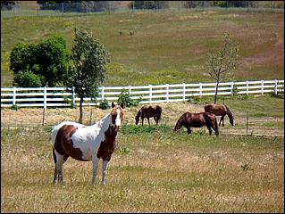 Bike-CoyoteCreekTrail09-040c.jpg