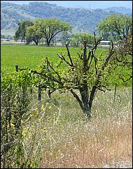 Bike-CoyoteCreekTrail09-074c.jpg