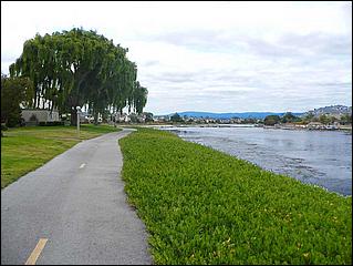 Bike-SFBayTrail_FosterCity09-007c.jpg