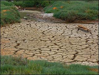 Bike-SFBayTrail_FosterCity09-013b.jpg