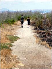 Bike-SFBayTrail_FosterCity09-019c.jpg