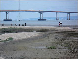 Bike-SFBayTrail_FosterCity09-022b.jpg