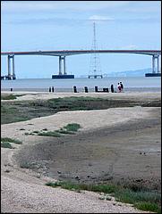 Bike-SFBayTrail_FosterCity09-024c.jpg