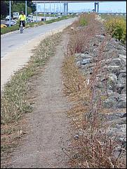 Bike-SFBayTrail_FosterCity09-026b.jpg