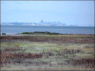 Bike-SFBayTrail_FosterCity09-046c.jpg