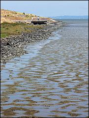 Bike-SFBayTrail_FosterCity09-047c.jpg