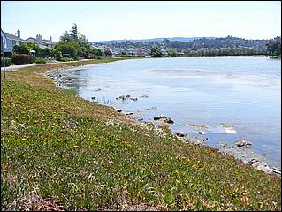 Bike-SFBayTrail_FosterCity09-055c.jpg