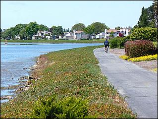 Bike-SFBayTrail_FosterCity09-056c.jpg