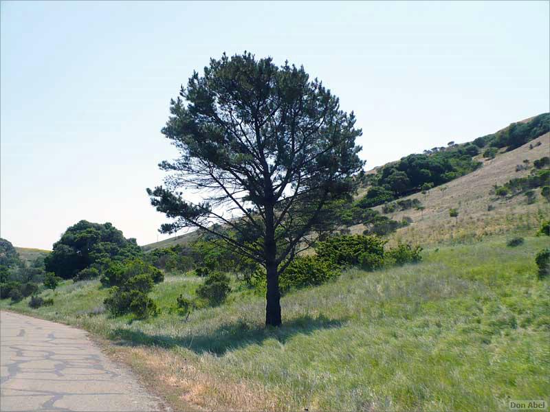 Bike-AlamedaCreekTrail-045c.jpg - for personal use